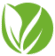 logo favicon